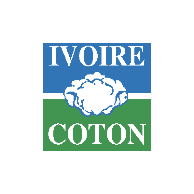 ivoire coton